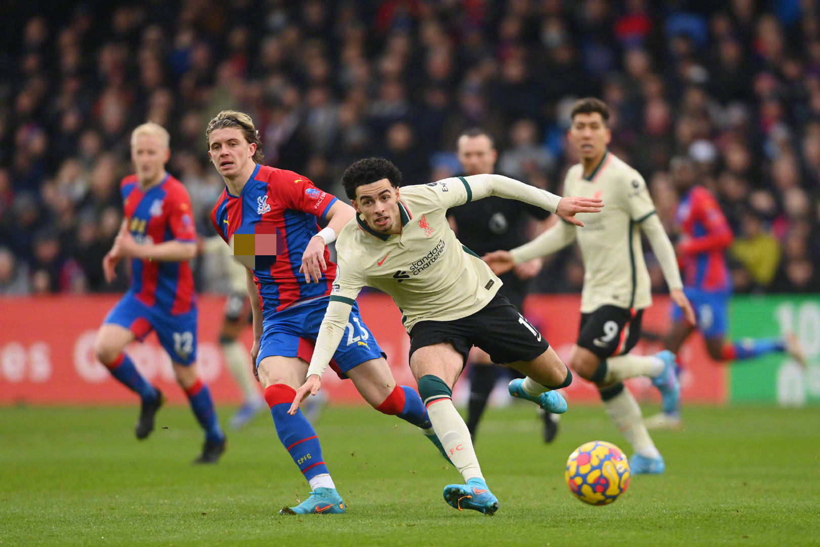 他不仅为球 他不仅为球